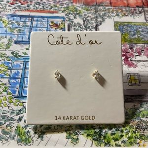 14k Stud Earrings